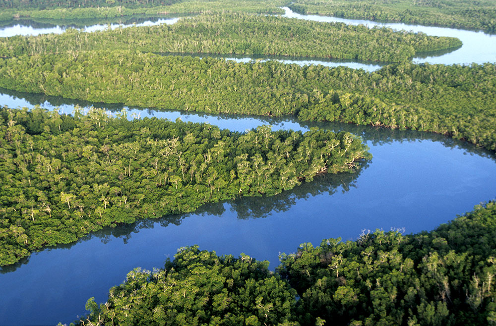 Fleuve