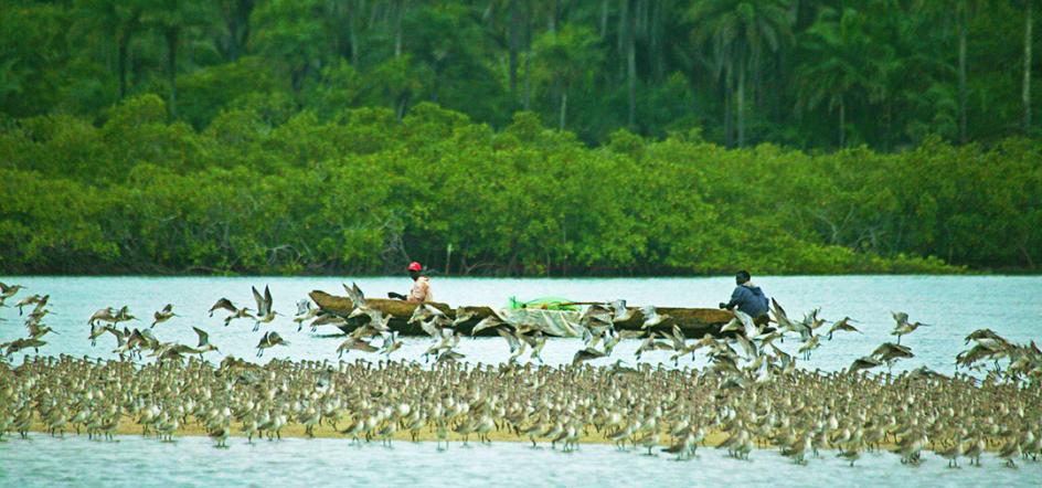 Islas Bijagós Guinea Bissau turismo